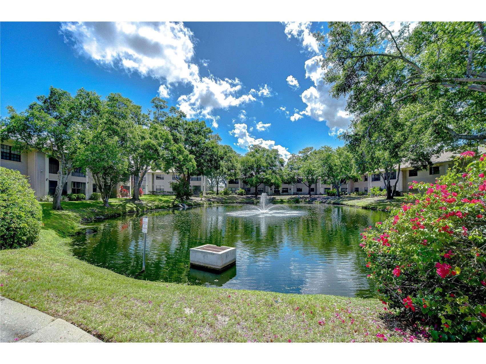 2139 Elm Street #308 Dunedin FL 34698 TB8385968 image48