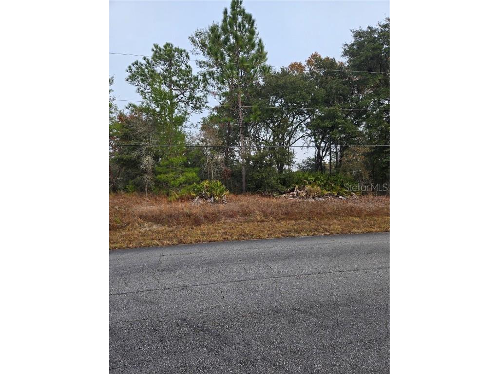 2139 W Paragon Lane Citrus Springs FL 34434 OM693305 image1