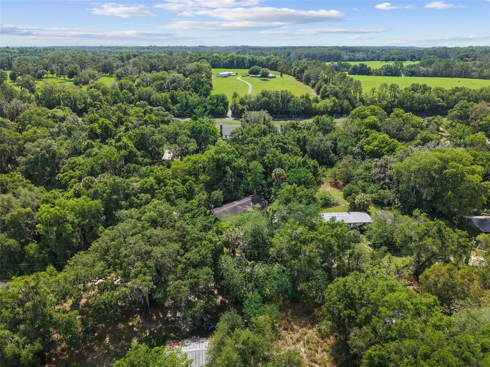 21390 NW 59th Avenue Micanopy FL 32667 GC540780 image31