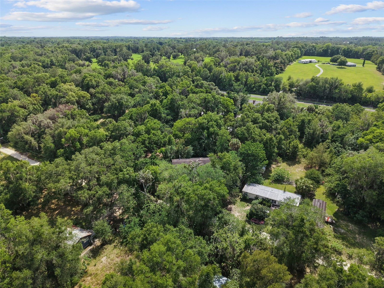 21390 NW 59th Avenue Micanopy FL 32667 GC540780 image33