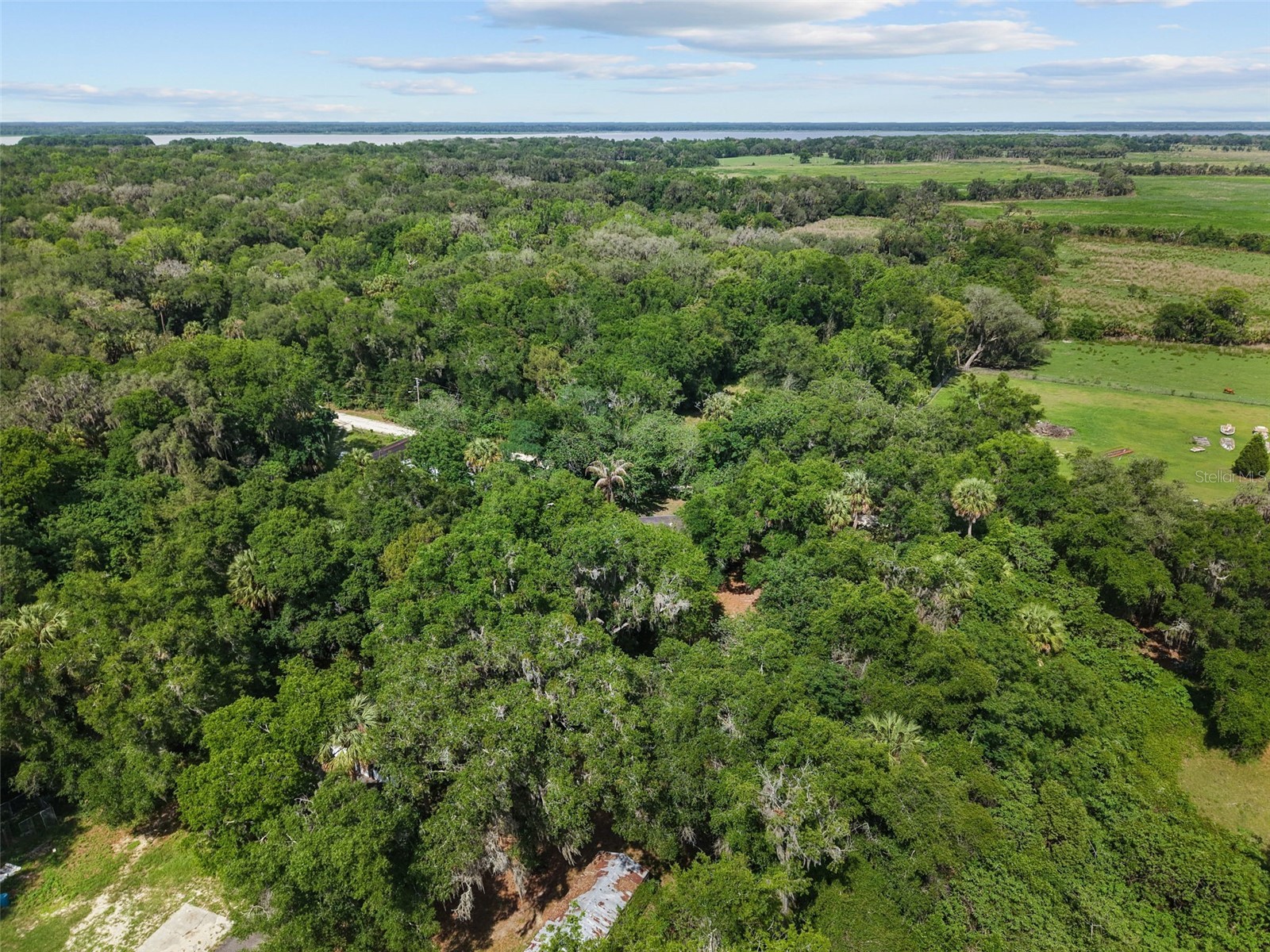 21390 NW 59th Avenue Micanopy FL 32667 GC540780 image37
