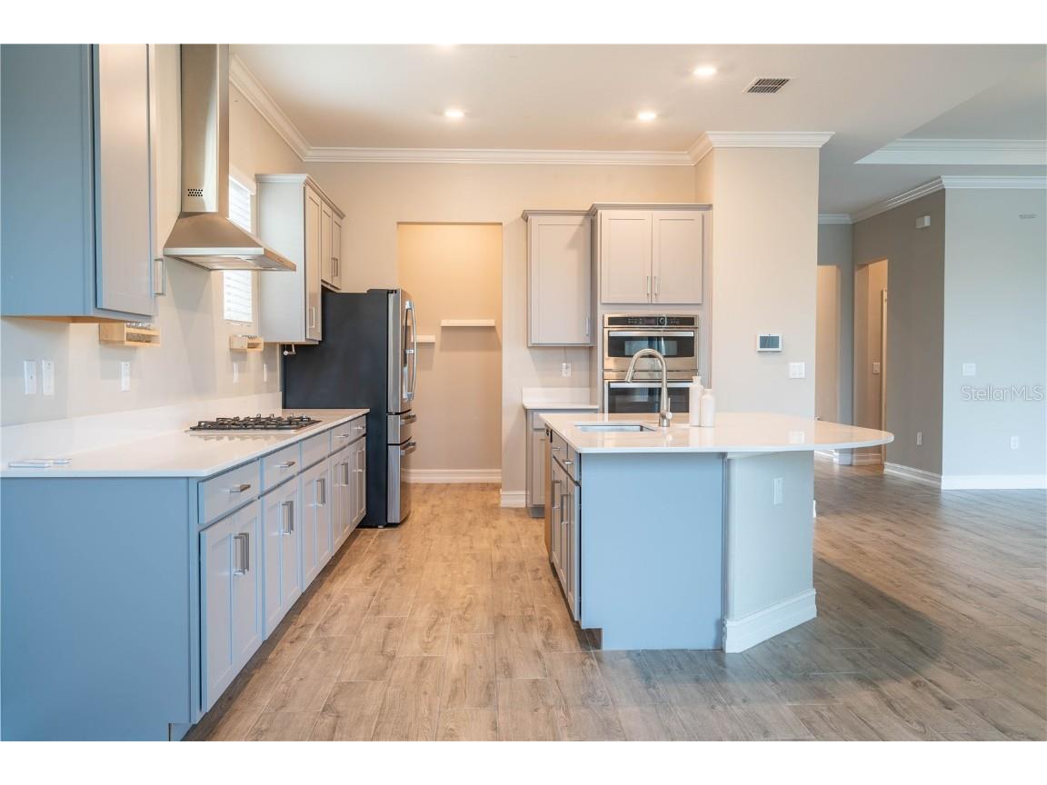 21396 Snowy Orchid Terrace Land O Lakes FL 34637 TB8457951 image15