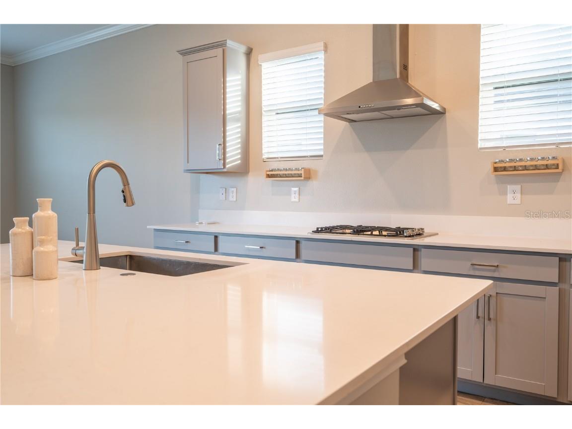 21396 Snowy Orchid Terrace Land O Lakes FL 34637 TB8457951 image17