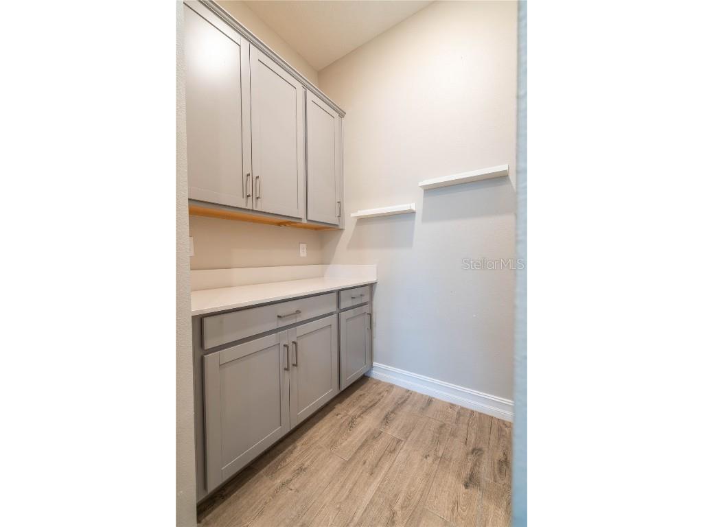 21396 Snowy Orchid Terrace Land O Lakes FL 34637 TB8457951 image18