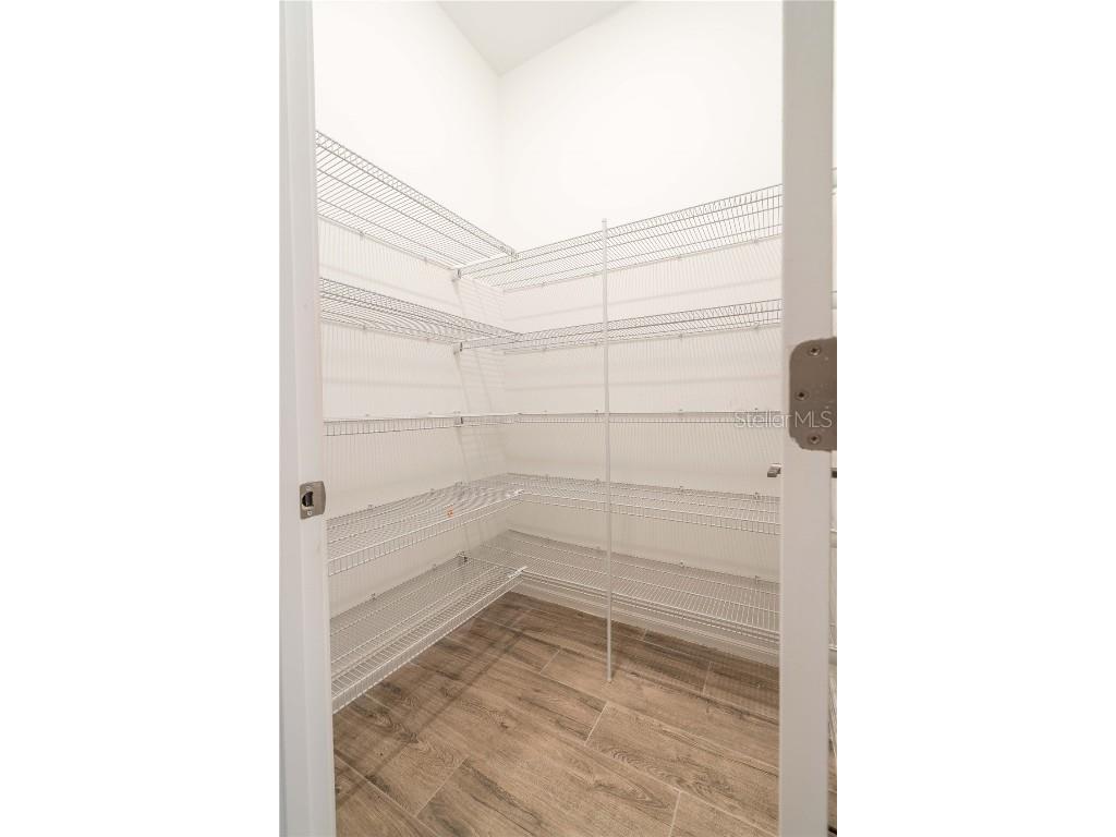 21396 Snowy Orchid Terrace Land O Lakes FL 34637 TB8457951 image19