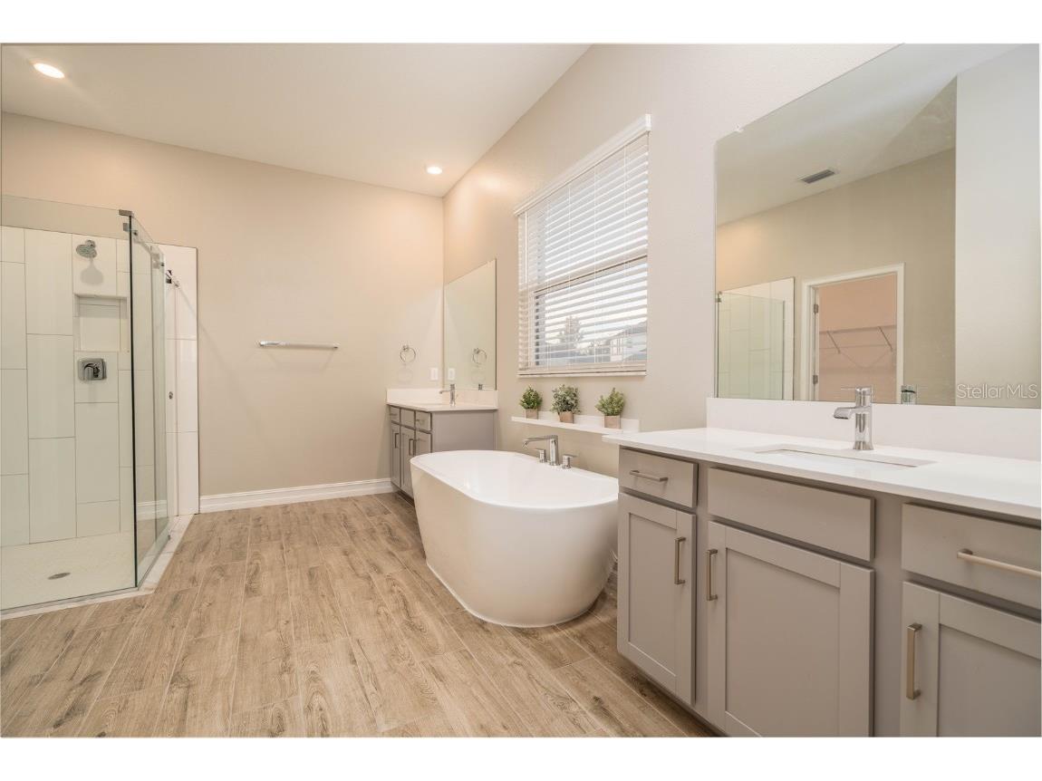 21396 Snowy Orchid Terrace Land O Lakes FL 34637 TB8457951 image26