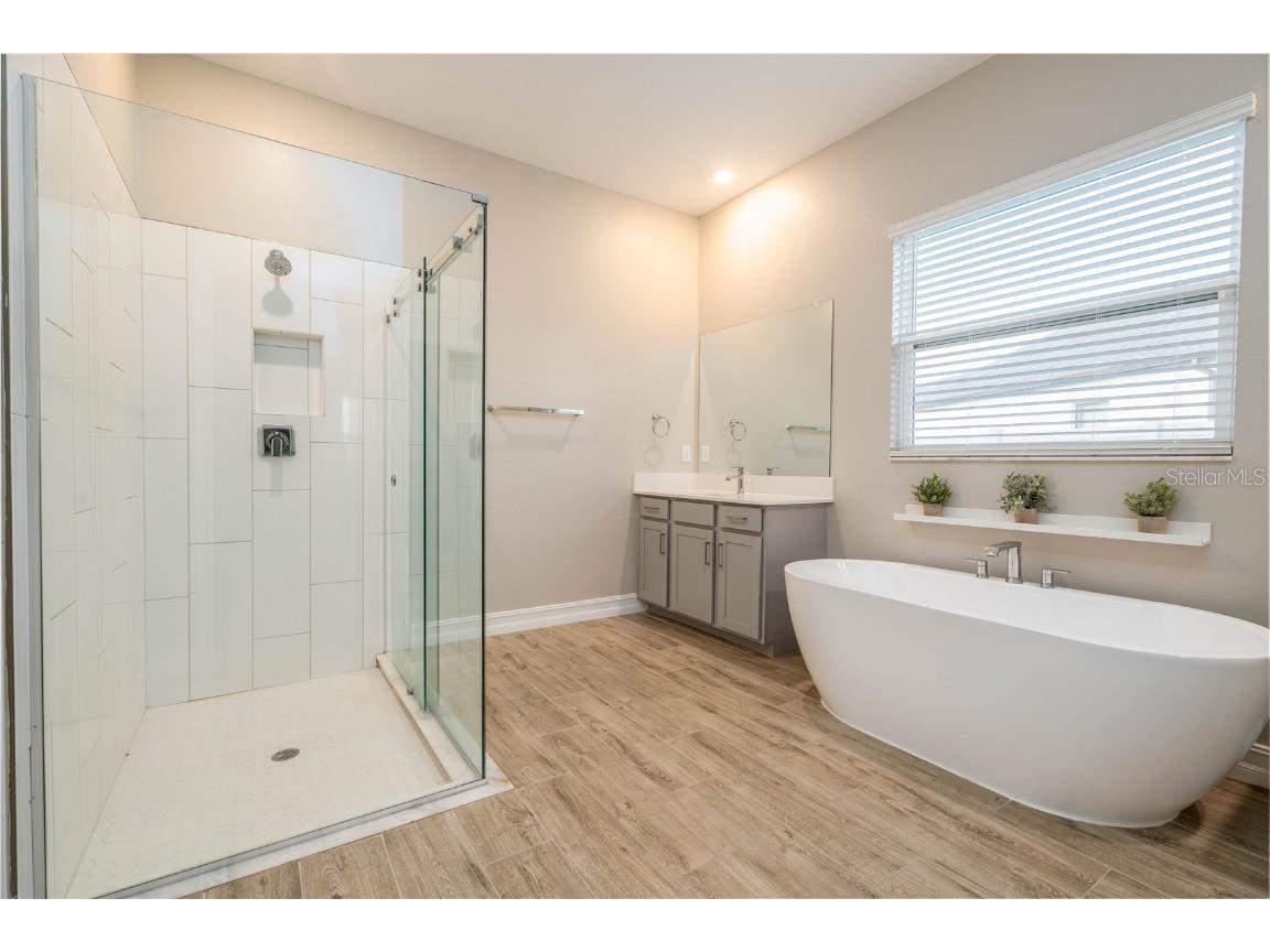 21396 Snowy Orchid Terrace Land O Lakes FL 34637 TB8457951 image28