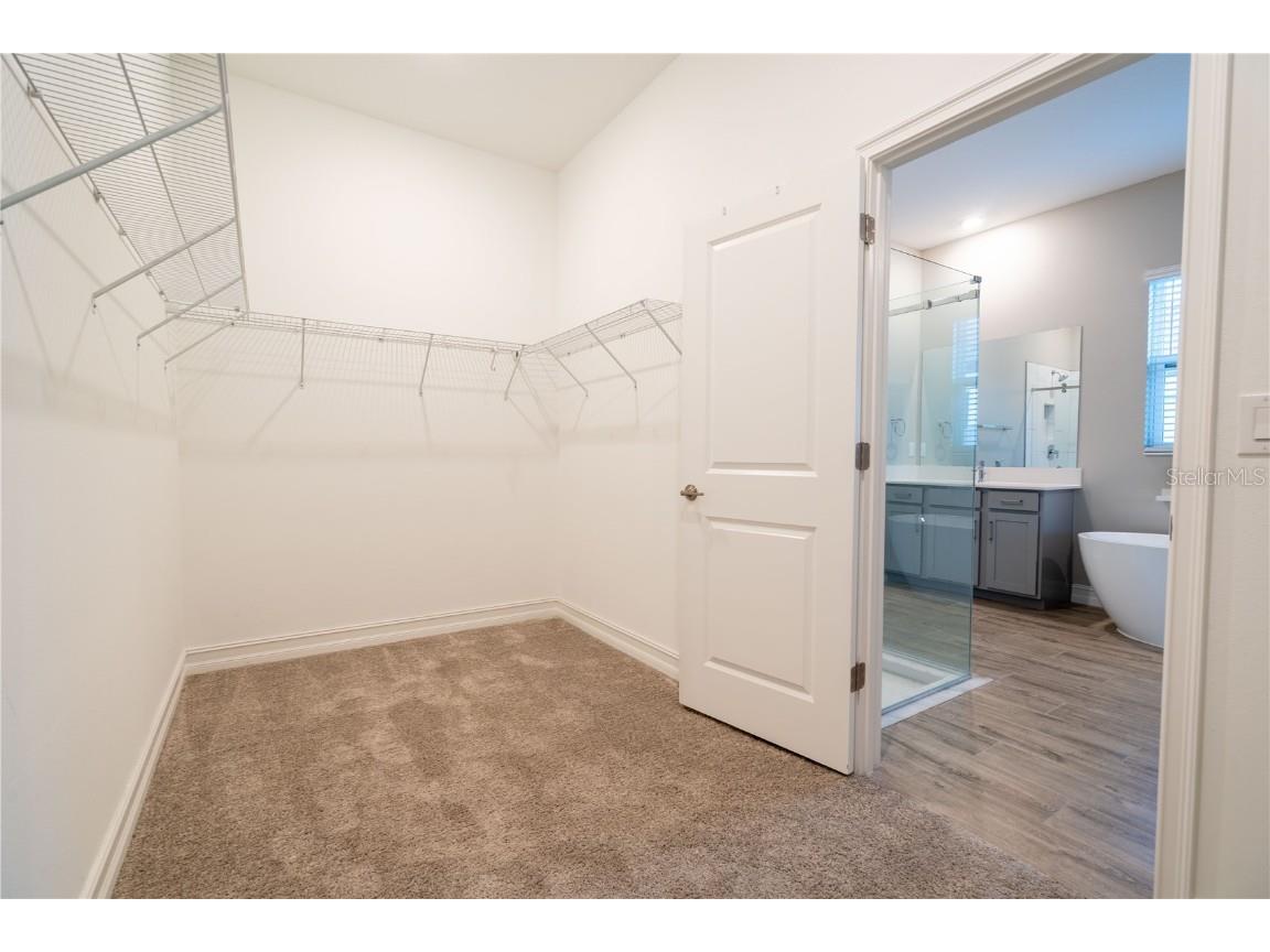 21396 Snowy Orchid Terrace Land O Lakes FL 34637 TB8457951 image29