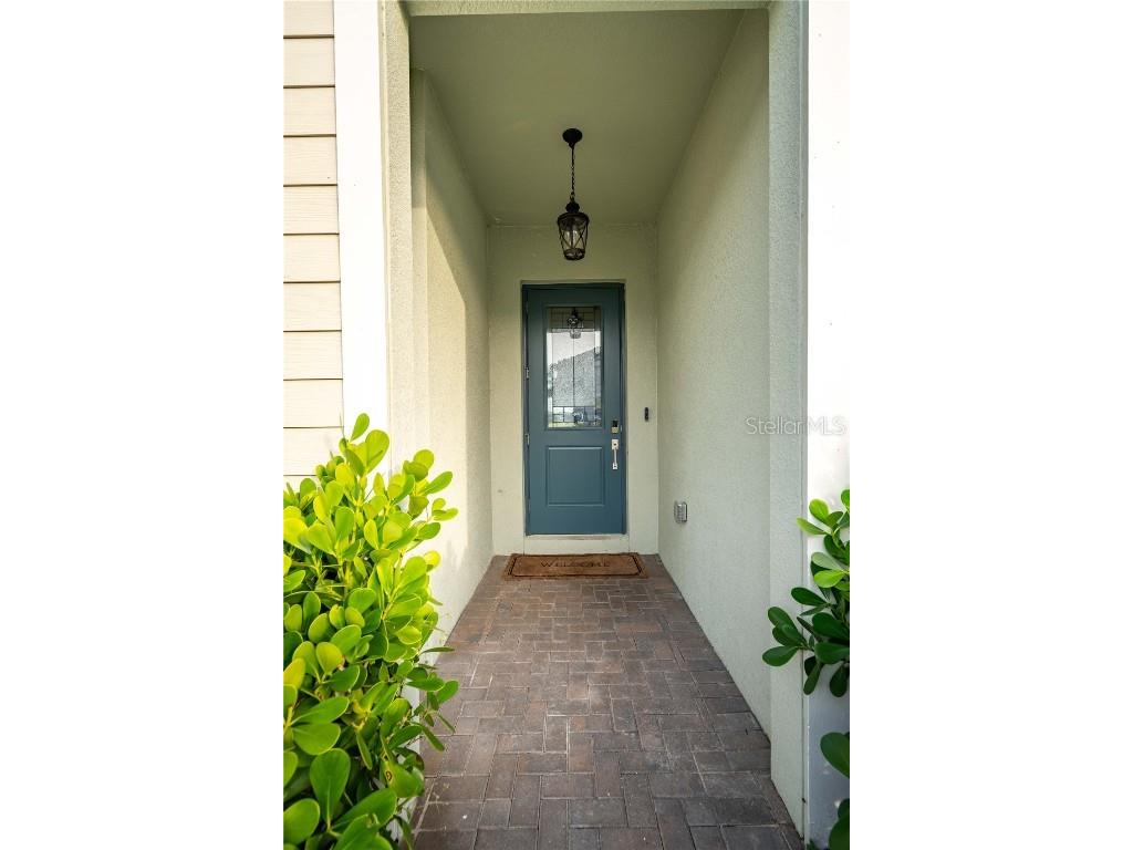 21396 Snowy Orchid Terrace Land O Lakes FL 34637 TB8457951 image3