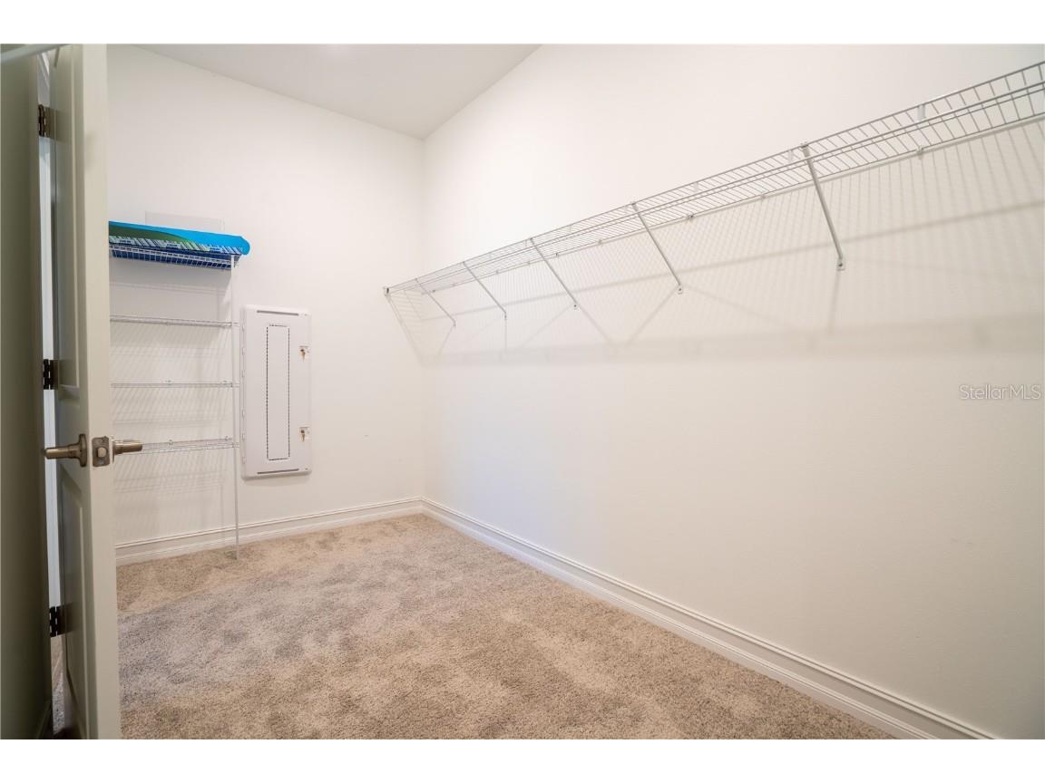 21396 Snowy Orchid Terrace Land O Lakes FL 34637 TB8457951 image30