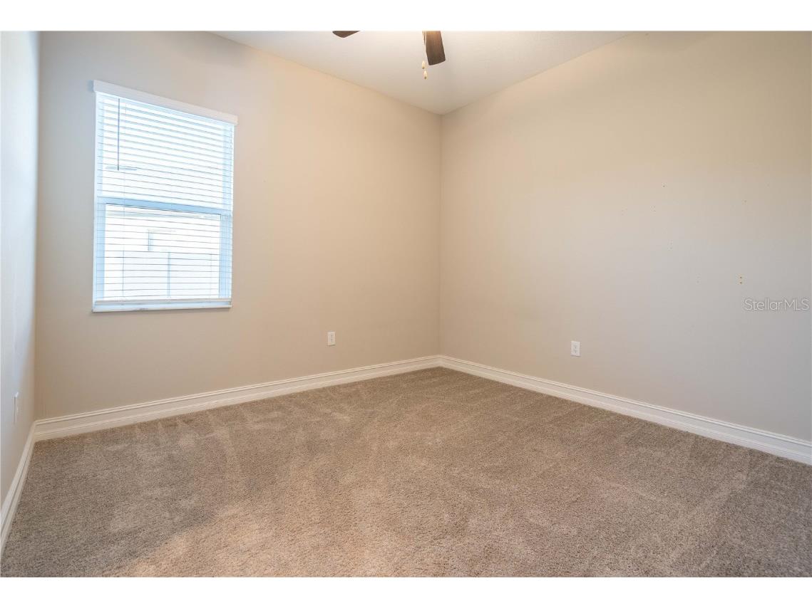 21396 Snowy Orchid Terrace Land O Lakes FL 34637 TB8457951 image33