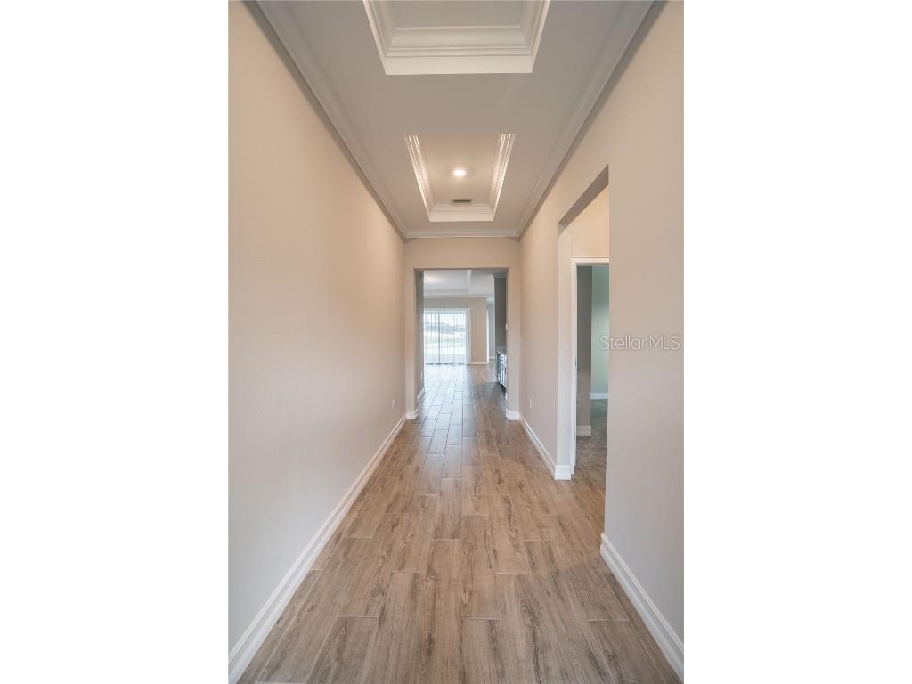 21396 Snowy Orchid Terrace Land O Lakes FL 34637 TB8457951 image5