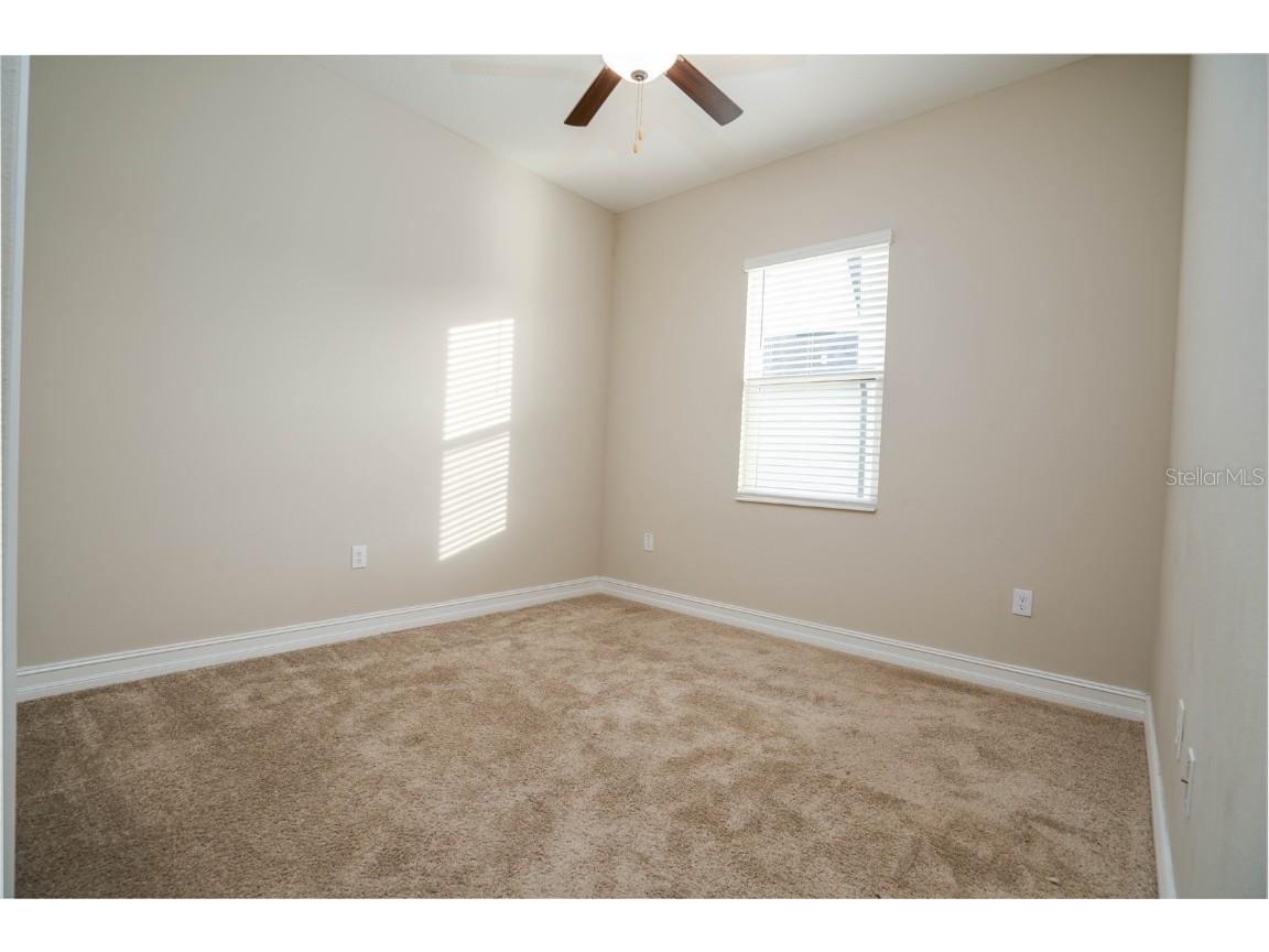 21396 Snowy Orchid Terrace Land O Lakes FL 34637 TB8457951 image9