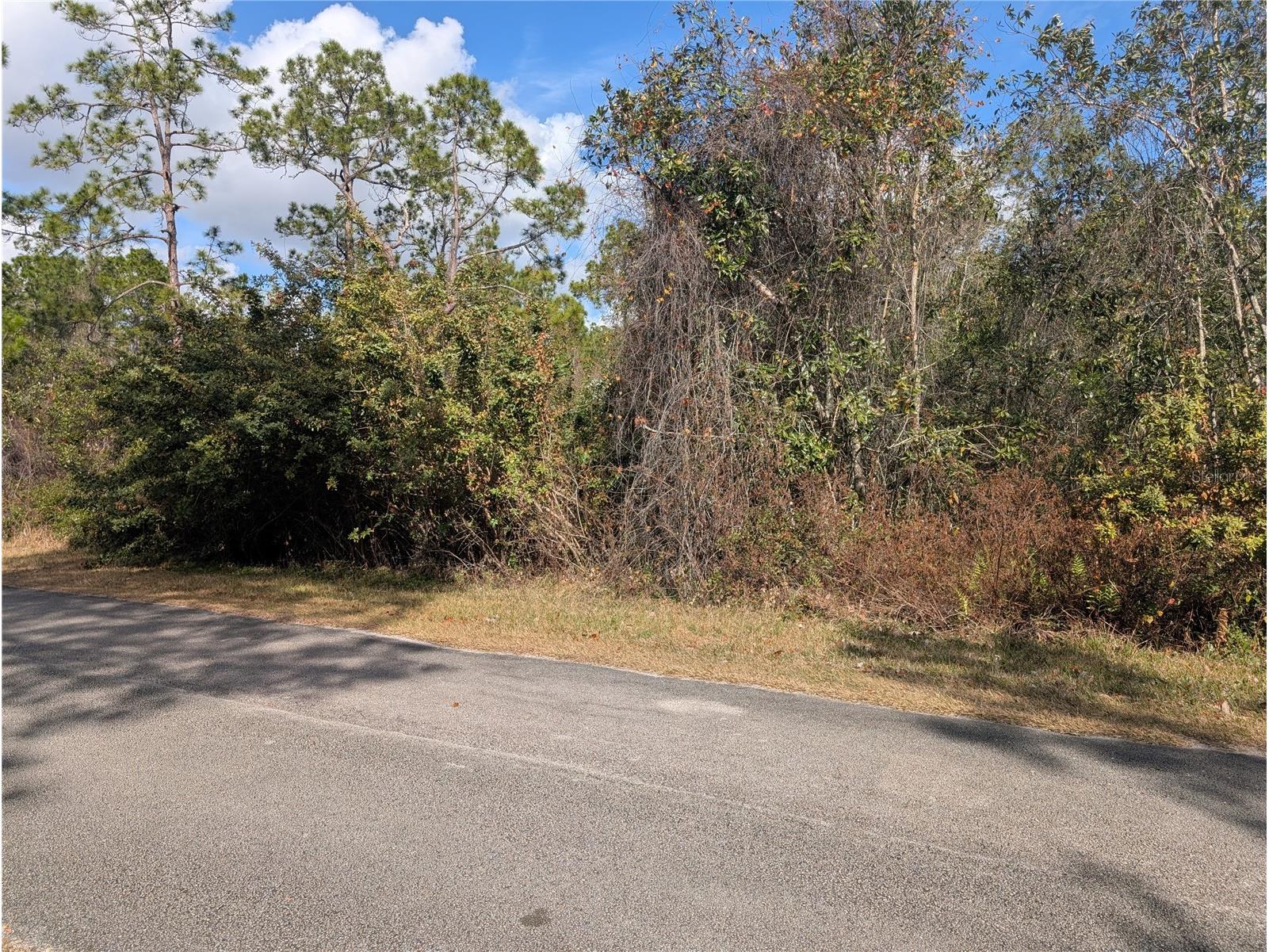 214 & 216 Allamanda Drive Indian Lake Estates FL 33855 - LAKE WALK-IN-WATER P4937832 image4