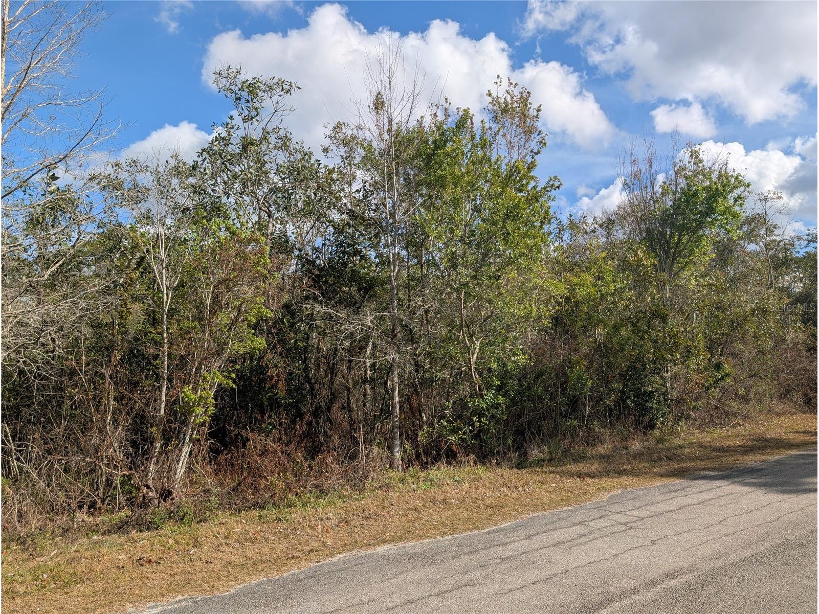 214 & 216 Allamanda Drive Indian Lake Estates FL 33855 - LAKE WALK-IN-WATER P4937832 image5