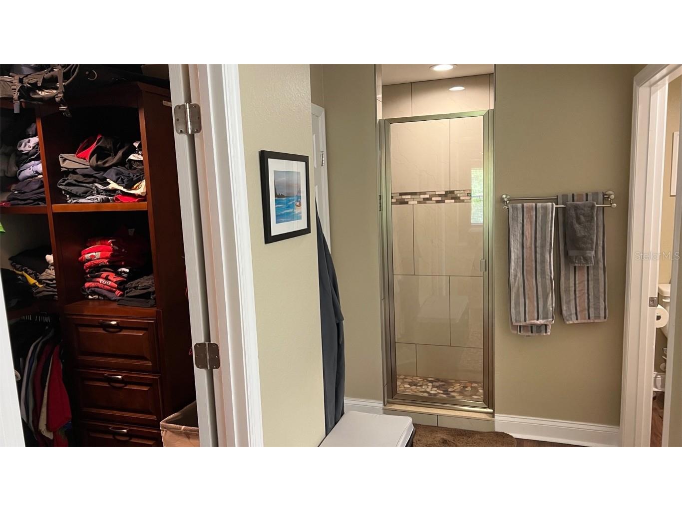 214 Brook Lane Polk City FL 33868 P4934282 image17