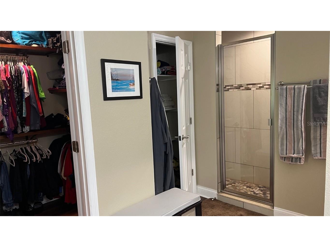 214 Brook Lane Polk City FL 33868 P4934282 image18