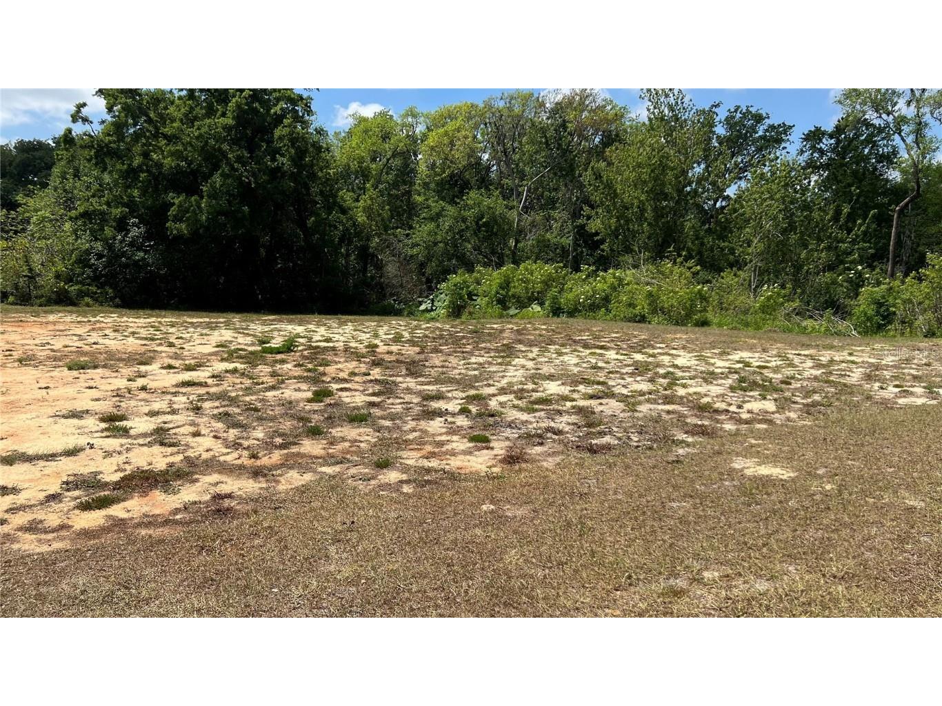 214 Brook Lane Polk City FL 33868 P4934282 image2