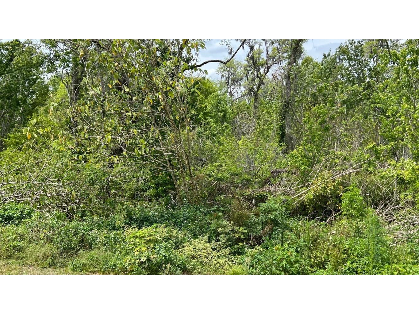 214 Brook Lane Polk City FL 33868 P4934282 image30