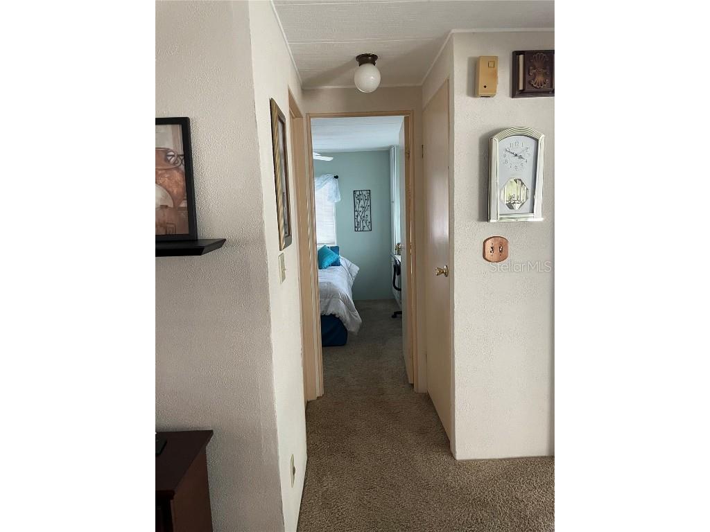 214 Caloosa Lake Circle N Lake Wales FL 33859 P4933980 image18