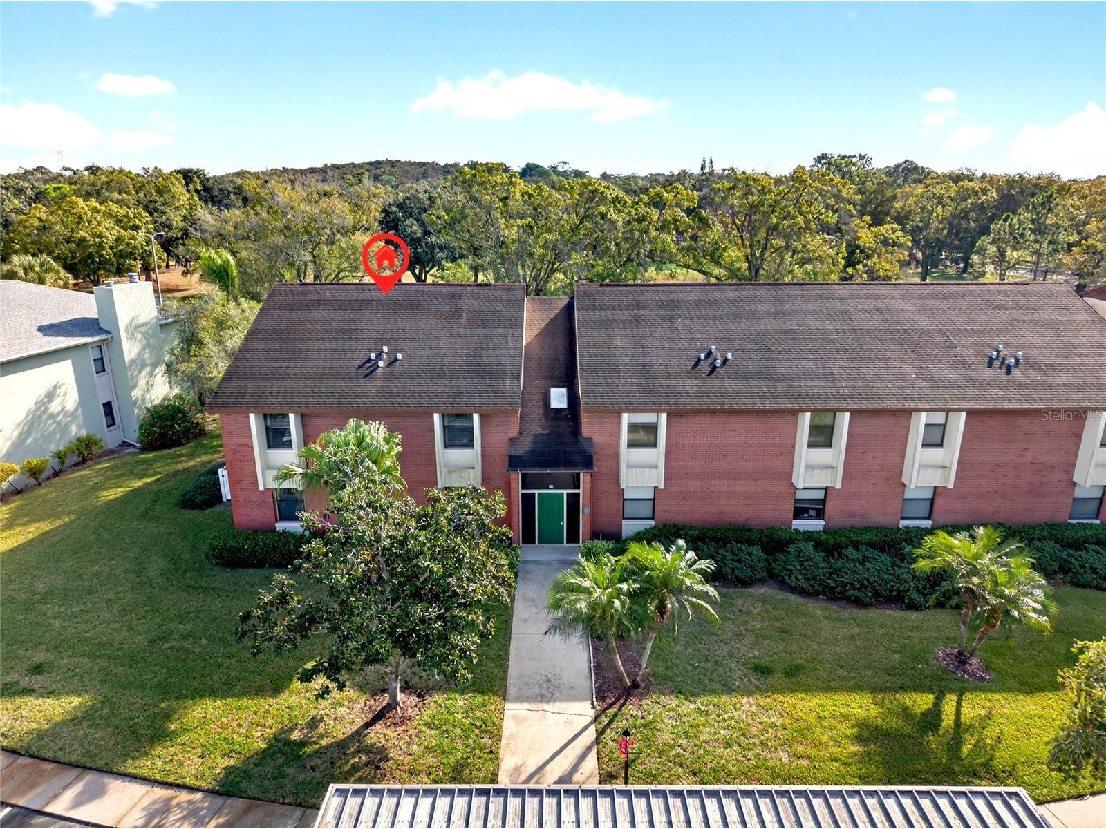 214 Caryl Way Oldsmar FL 34677 TB8453522 image1