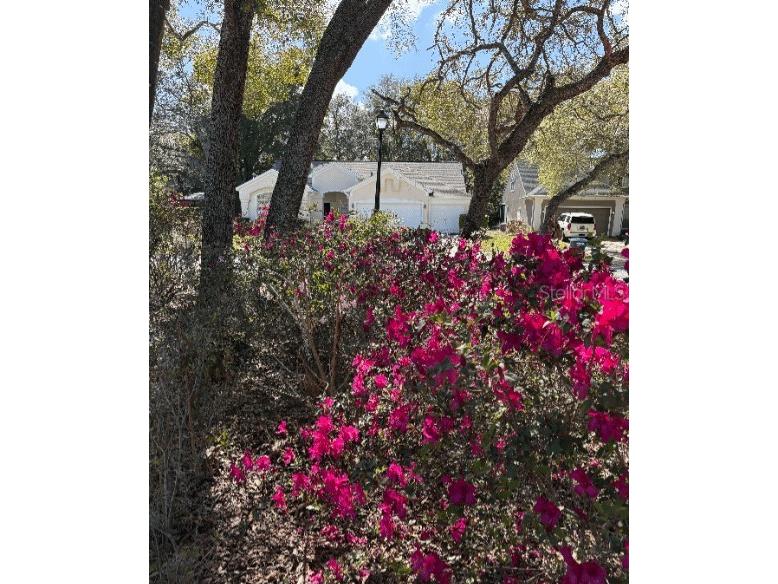214 Chestnut Ridge Street Winter Springs FL 32708 O6372400 image3