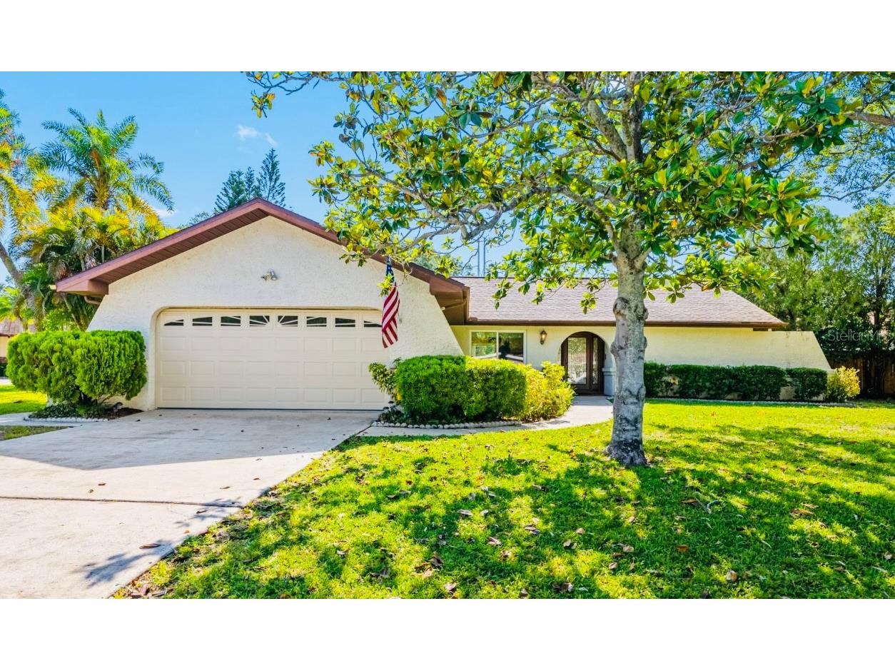 214 Dunbridge Drive Palm Harbor FL 34684 U8200549 image1