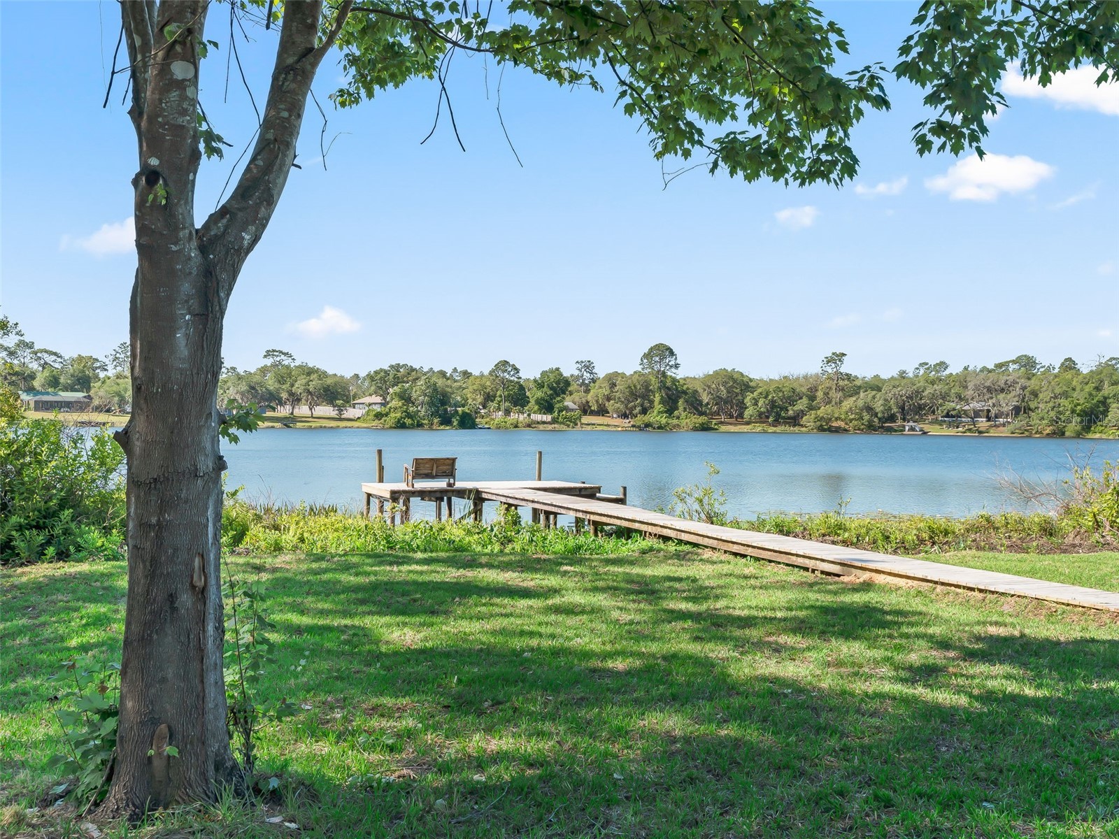 214 Fisher Run Ocklawaha FL 32179 - Bear Lake OM724104 image37