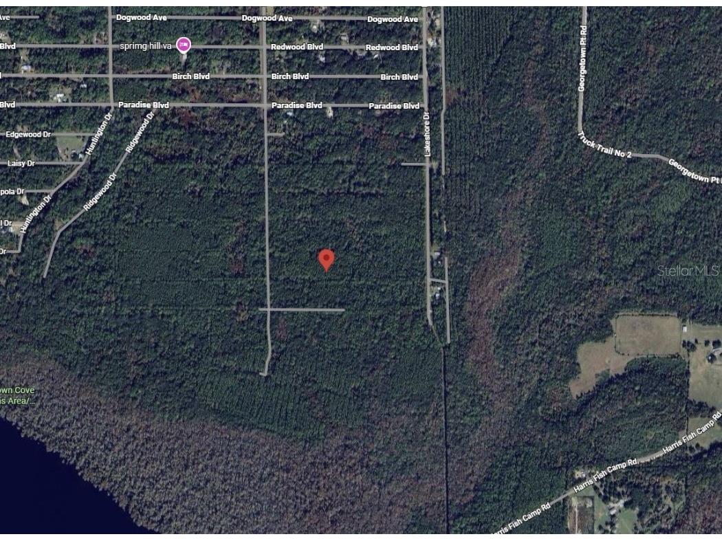 214 Garrison Avenue Georgetown FL 32139 OK225579 image1
