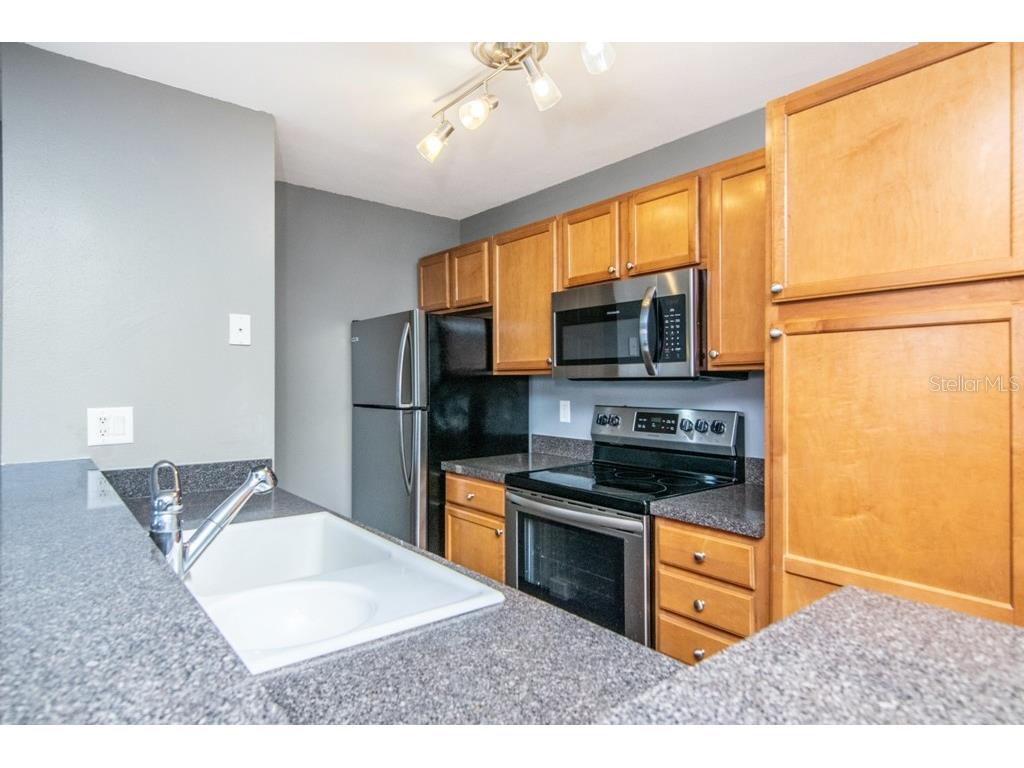 214 Lake Parsons Green #208 Brandon FL 33511 TB8508304 image10