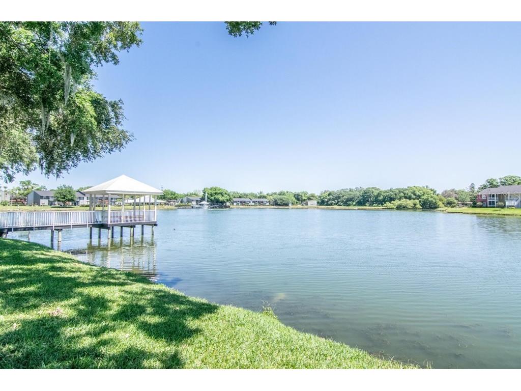 214 Lake Parsons Green #208 Brandon FL 33511 TB8508304 image16