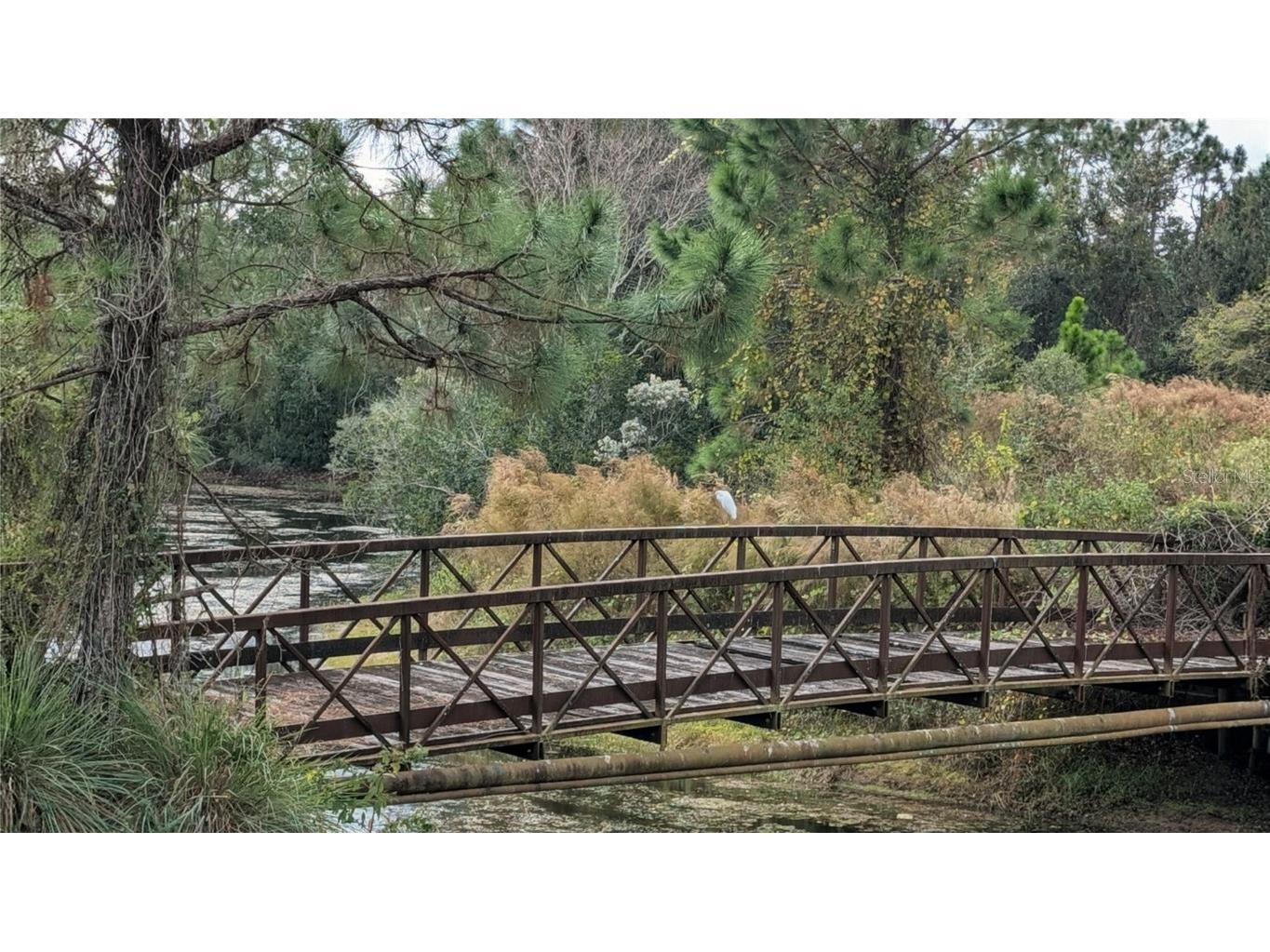 214 London Drive Palm Coast FL 32137 FC314560 image39