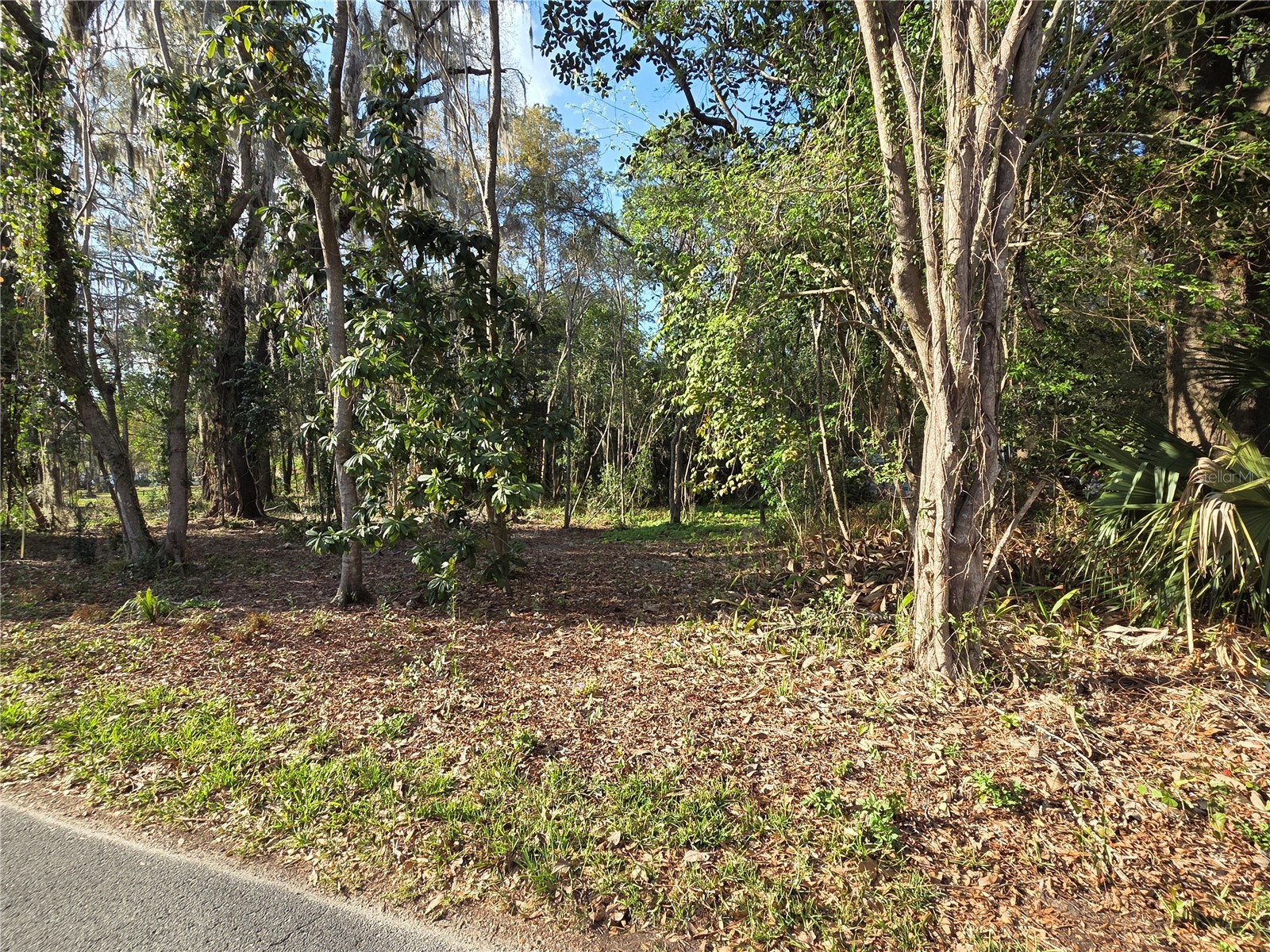 214 NE 13th Avenue Gainesville FL 32601 GC538279 image6