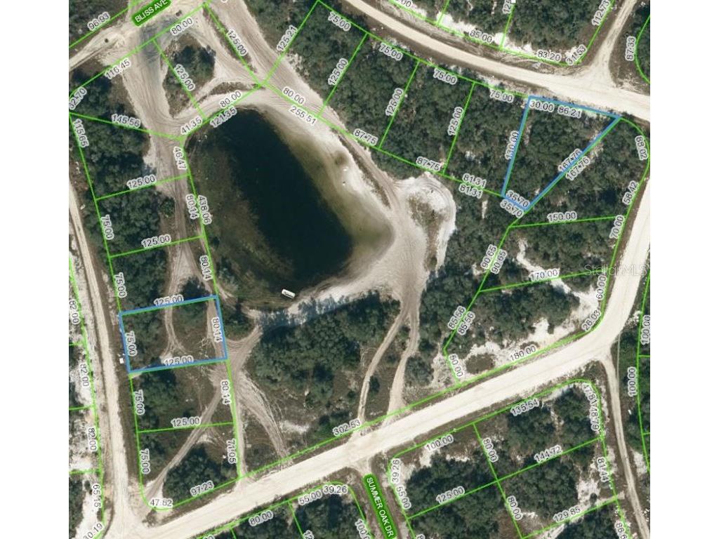 214 Rhythm Drive Lake Placid FL 33852 OM623495 image1