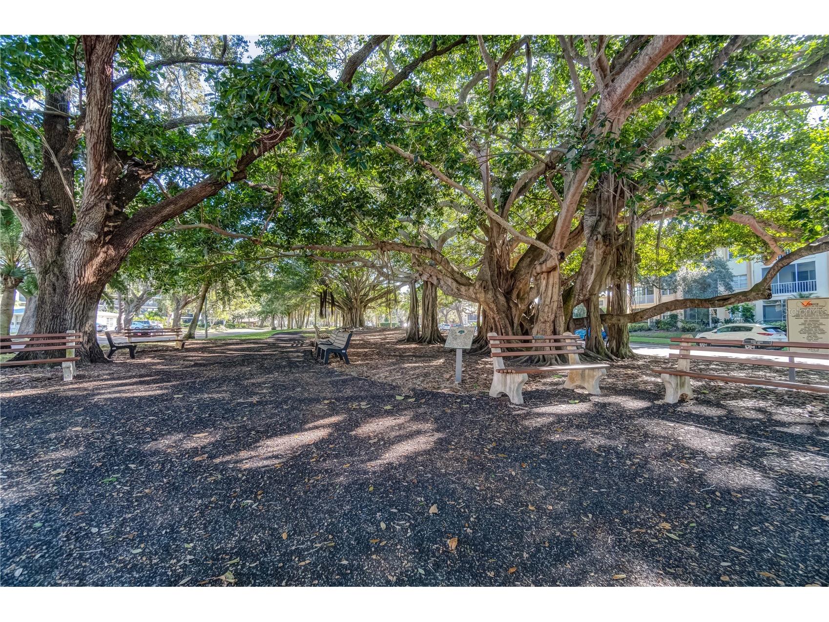 214 Southampton Drive #327 Venice FL 34293 N6141078 image73