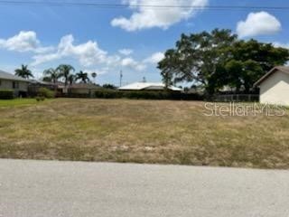 214 SW 43 Lane Cape Coral FL 33914 L4949332 image1