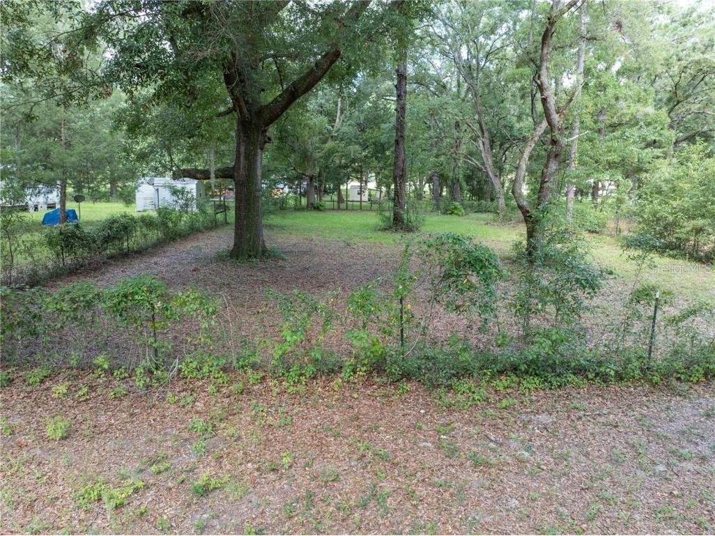 214 SW Leonard Terrace Lake City FL 32024 O6312390 image16