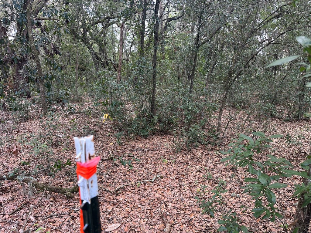 214 Vancouver Circle Interlachen FL 32148 - LAKE PEARL GC534361 image10