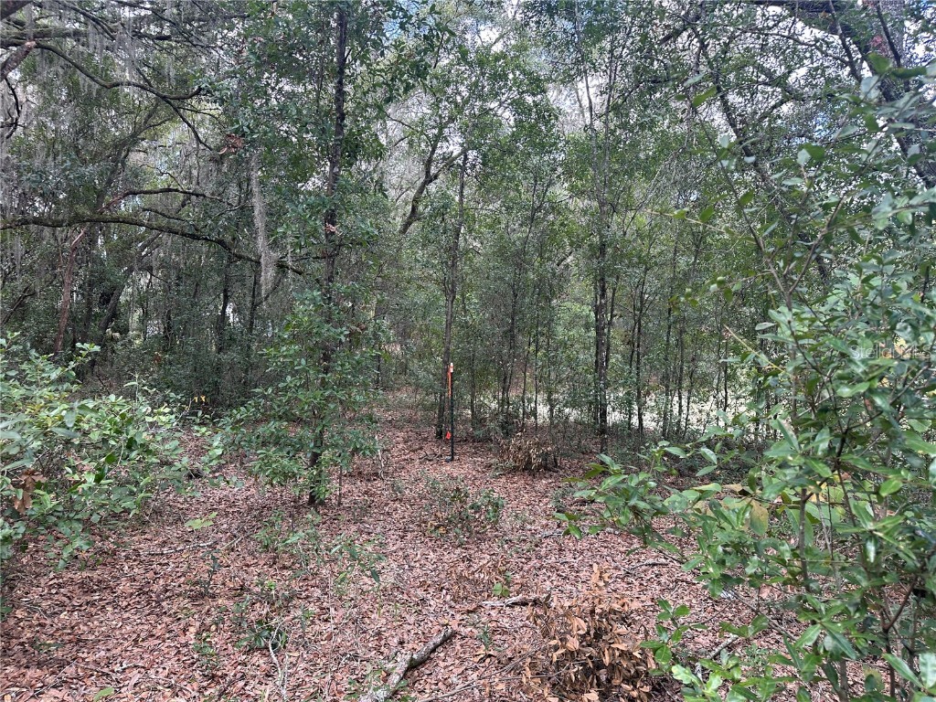 214 Vancouver Circle Interlachen FL 32148 - LAKE PEARL GC534361 image11