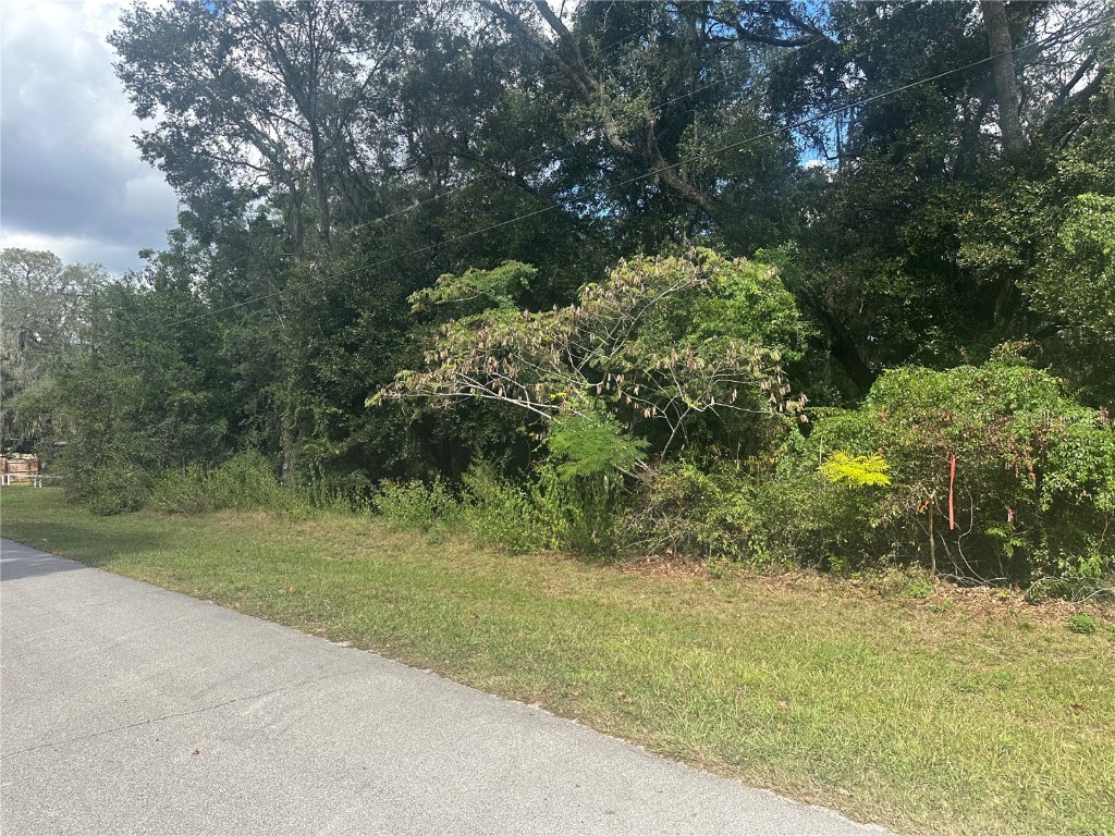 214 Vancouver Circle Interlachen FL 32148 - LAKE PEARL GC534361 image12