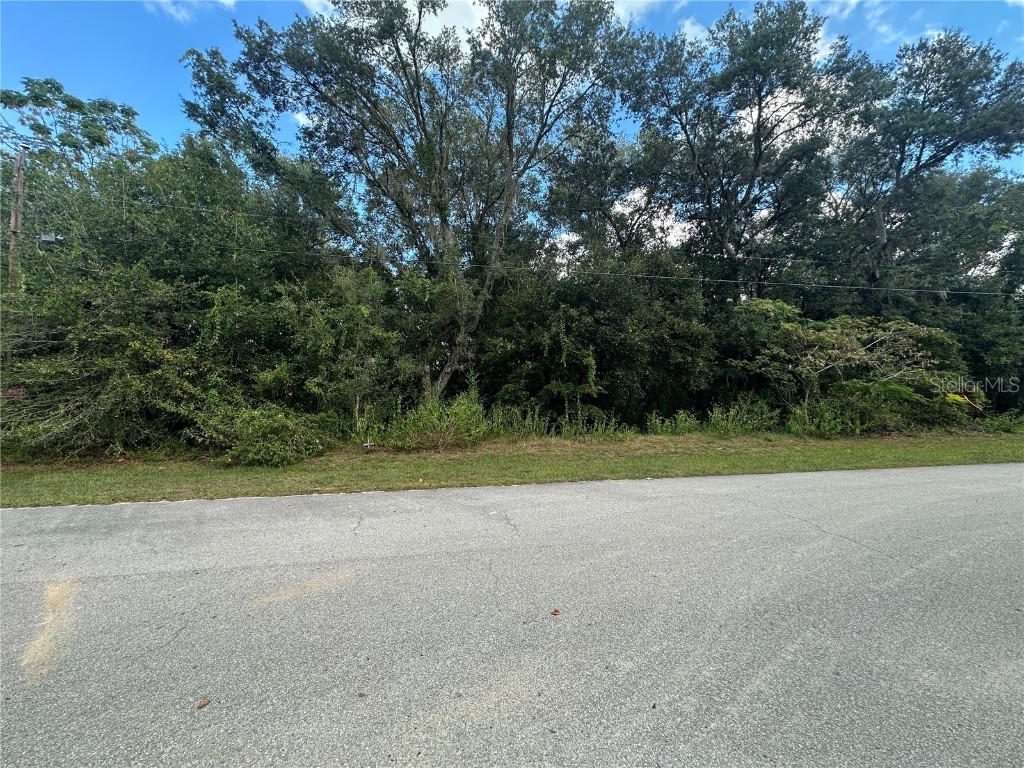 214 Vancouver Circle Interlachen FL 32148 - LAKE PEARL GC534361 image13