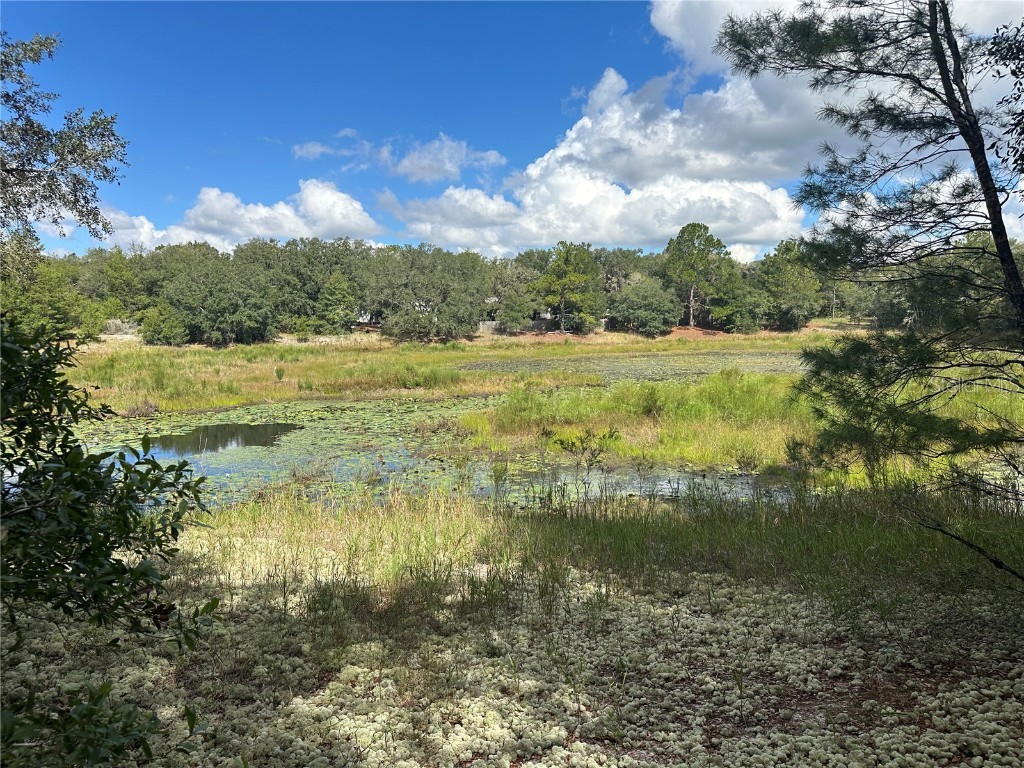 214 Vancouver Circle Interlachen FL 32148 - LAKE PEARL GC534361 image4