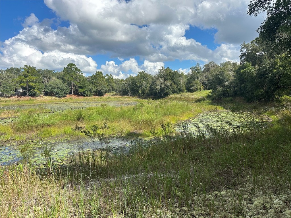 214 Vancouver Circle Interlachen FL 32148 - LAKE PEARL GC534361 image5