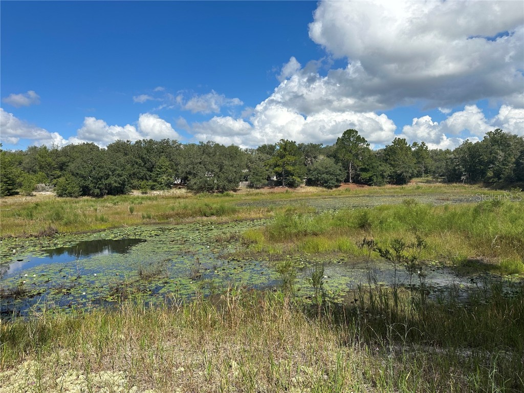 214 Vancouver Circle Interlachen FL 32148 - LAKE PEARL GC534361 image6