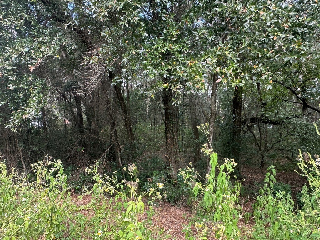 214 Vancouver Circle Interlachen FL 32148 - LAKE PEARL GC534361 image7