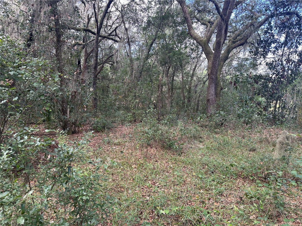 214 Vancouver Circle Interlachen FL 32148 - LAKE PEARL GC534361 image9