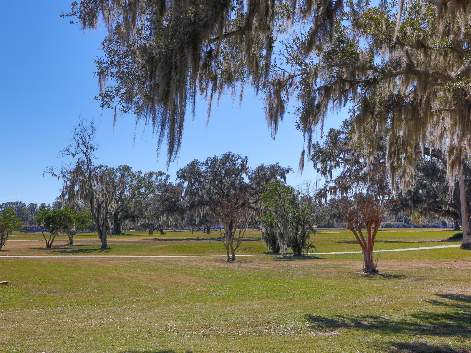 2140 E Main Street Bartow FL 33830 L4958478 image27