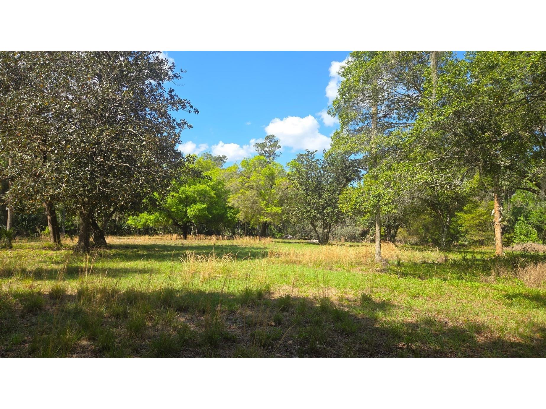 2140 St Johns River Road Astor FL 32102 V4948899 image1