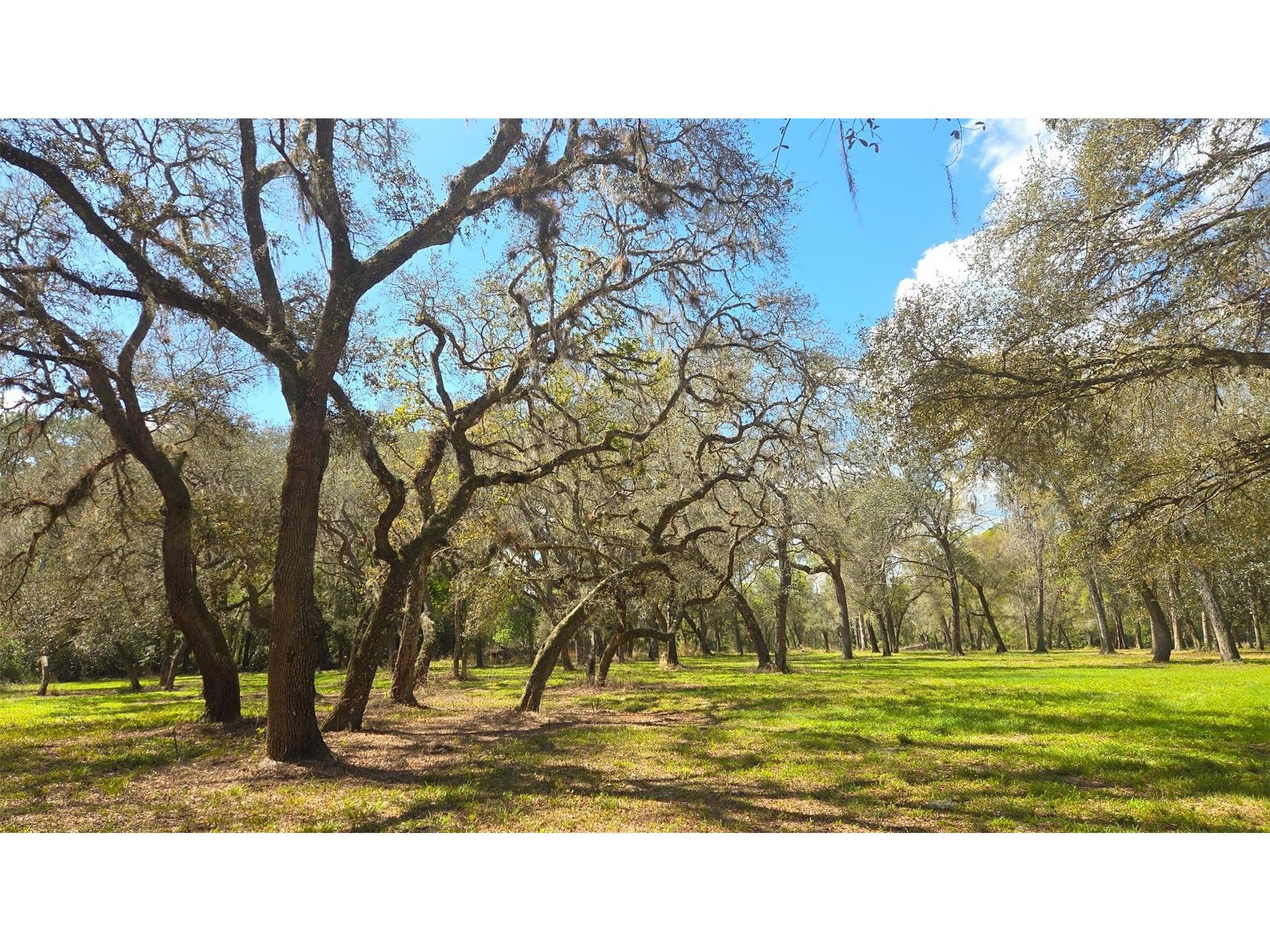 2140 St Johns River Road Astor FL 32102 V4948899 image12