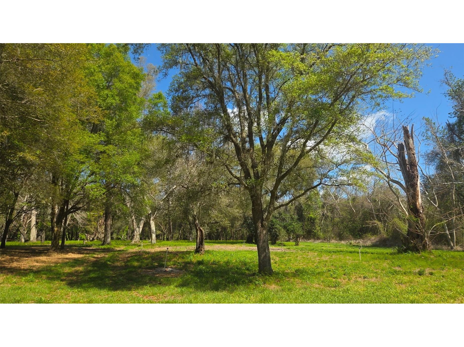 2140 St Johns River Road Astor FL 32102 V4948899 image13